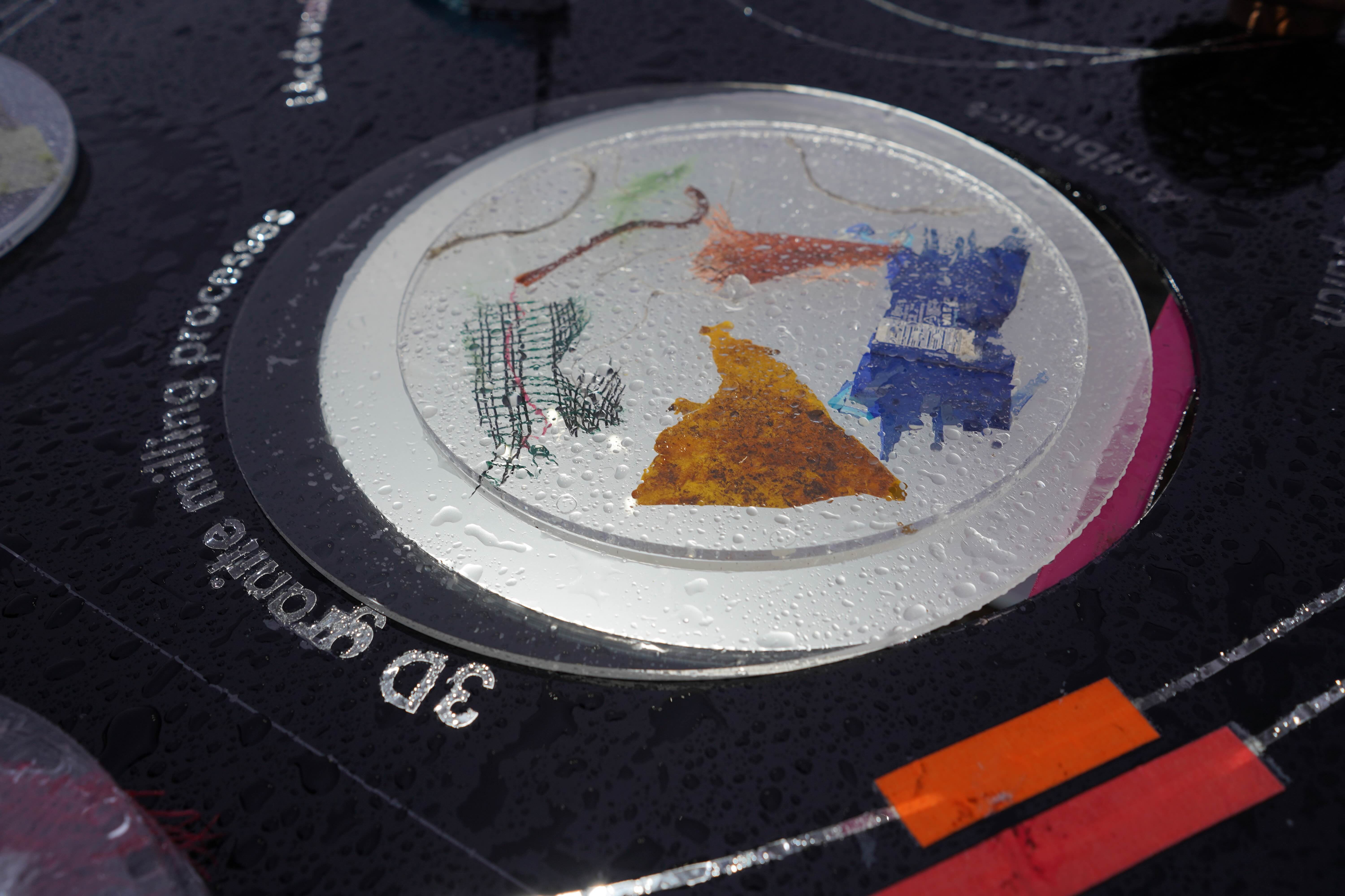 Description of image 10
